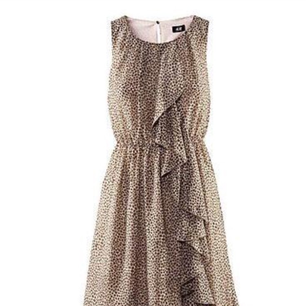 H&M dress